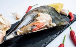 海鲜带子图片大全图解，带子品种怎么区分？