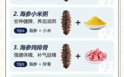 鲜海参做汤怎么做好吃又简单？