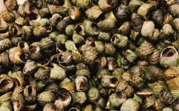 海鲜大杂烩怎么做？麻烦做法有哪些？