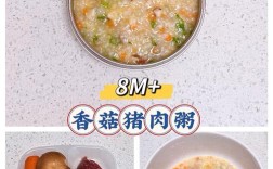 宝宝辅食猪肉粥怎么做？