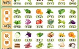 十个月宝宝适合吃哪些蔬菜？