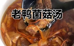 蘑菇炖鸭怎么做？家常做法全在这！