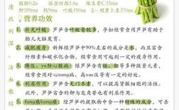 七个月宝宝能吃芦笋吗？怎么吃？