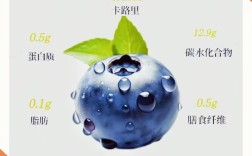 宝宝能吃煮蓝莓吗？