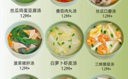 宝宝汤的做法大全9个月