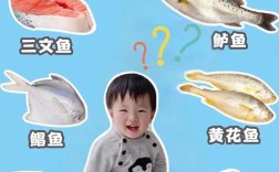 六个月宝宝能吃鲤鱼吗？
