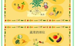 素食宝宝与和风菜宝宝，营养差异有多大？