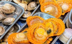 长得像B的贝类海鲜是什么？