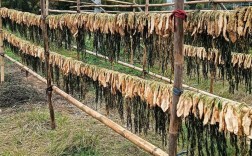 干的大头菜做法大全家常