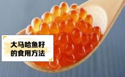 十个月宝宝能吃鱼籽吗？