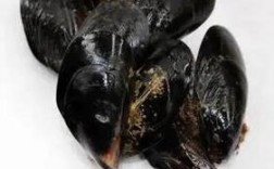 哪些海鲜属于黑色贝壳类？