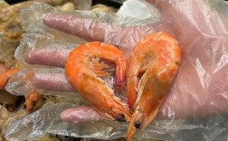 海鲜小吃打包后如何正确保存？