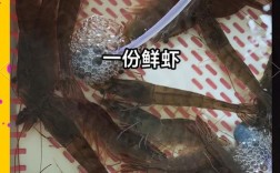 糯米蒸海鲜的做法大全