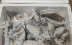 海鲜隔夜冰箱，到底能不能吃？