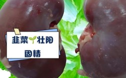 家常菜怎么吃能壮阳？
