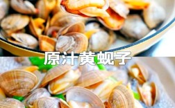 贝类海鲜煮多久才熟？