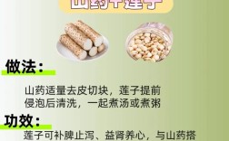 宝宝消化不好能吃山药吗？