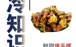 海鲜沙拉有哪些营养好处？