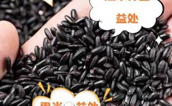 黑米6个月宝宝可以吃吗