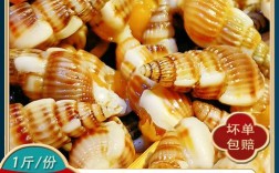 海瓜子一斤多少钱？