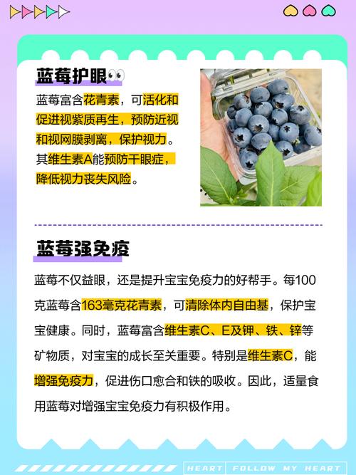 10月宝宝能吃蓝莓吗?怎么吃才安全?-图1 10月宝宝能吃蓝莓吗?怎么吃才安全?-图1
