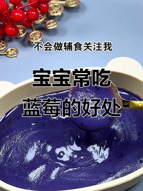 10月宝宝能吃蓝莓吗?怎么吃才安全?-图3 10月宝宝能吃蓝莓吗?怎么吃才安全?-图3