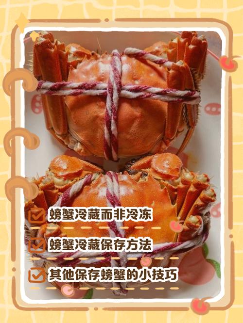 冰冻螃蟹怎么处理才鲜嫩?做法有哪些?-图2 冰冻螃蟹怎么处理才鲜嫩?做法有哪些?-图2
