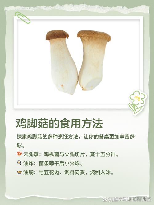 家常鸡腿菇菜谱大全家常做法-图1