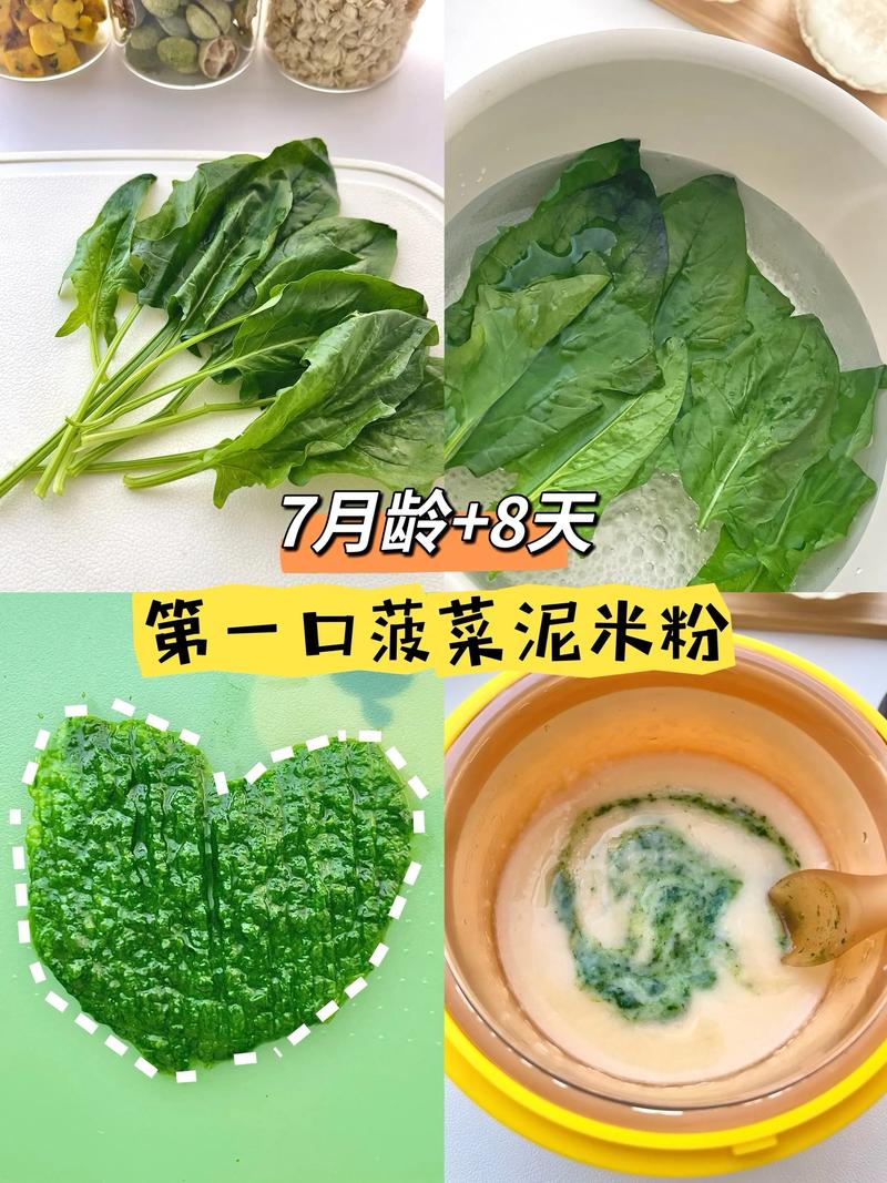 七个月宝宝能吃菠菜泥吗？-图3