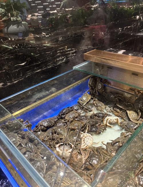 大连海鲜自助现在开门吗？-图2