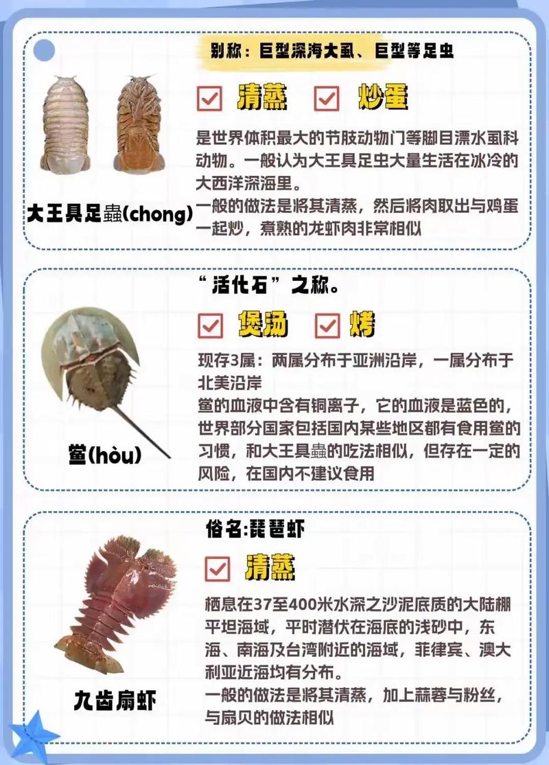 海鲜杂烩为何拒绝分类?-图3 海鲜杂烩为何拒绝分类?-图3