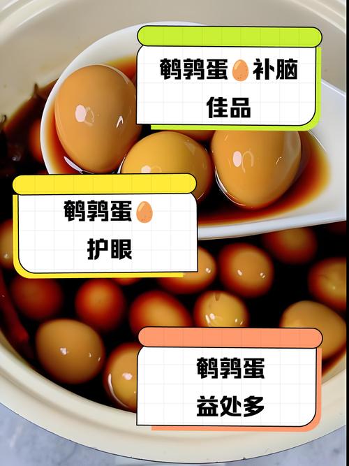 七个月宝宝能吃鹌鹑蛋吗?-图1 七个月宝宝能吃鹌鹑蛋吗?-图1