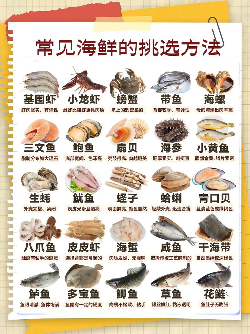 常见海鲜图片及名称大全,有哪些常见海鲜?-图1 常见海鲜图片及名称大全,有哪些常见海鲜?-图1
