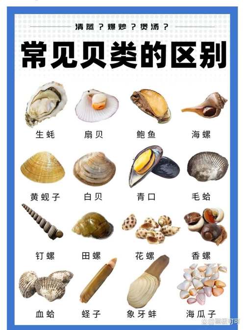 常见海鲜图片及名称大全,有哪些常见海鲜?-图3 常见海鲜图片及名称大全,有哪些常见海鲜?-图3