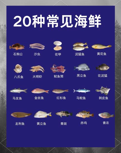 常见海鲜图片及名称大全,有哪些常见海鲜?-图2 常见海鲜图片及名称大全,有哪些常见海鲜?-图2