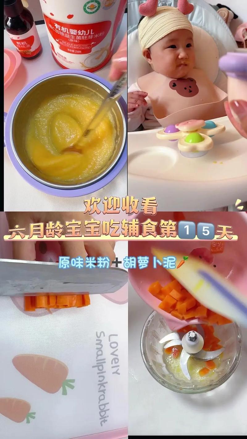 宝宝几个月能吃胡萝卜泥?-图1 宝宝几个月能吃胡萝卜泥?-图1
