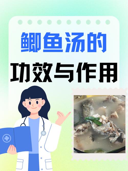 宝宝喝鲫鱼汤到底有什么功效与作用？-图1