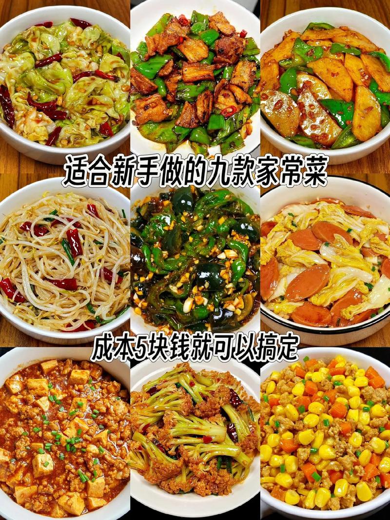 学做家常菜视频教程，从哪开始学最简单？-图3