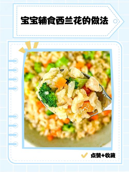 西兰花怎么做宝宝爱吃又营养?-图1 西兰花怎么做宝宝爱吃又营养?-图1