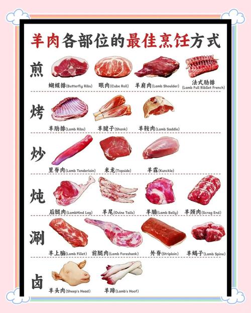 羊肉家常做法有哪些？-图1