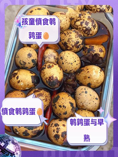 八个月宝宝可以吃鹌鹑蛋吗-图1