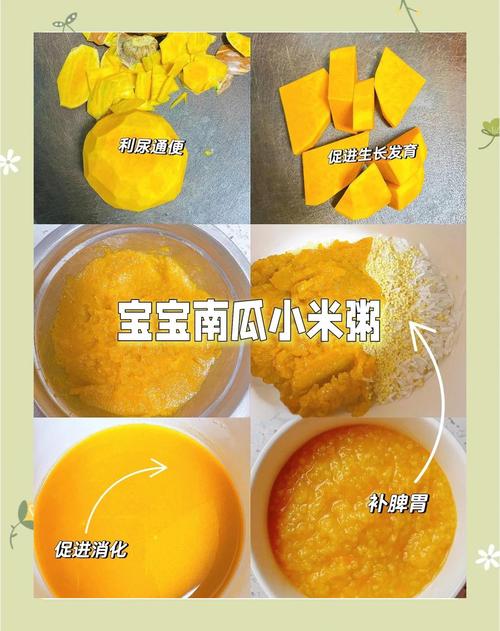 8月宝宝能吃南瓜粥吗？-图3