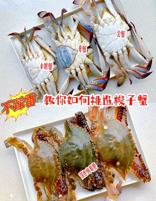 梭子蟹家常做法有哪些？-图2