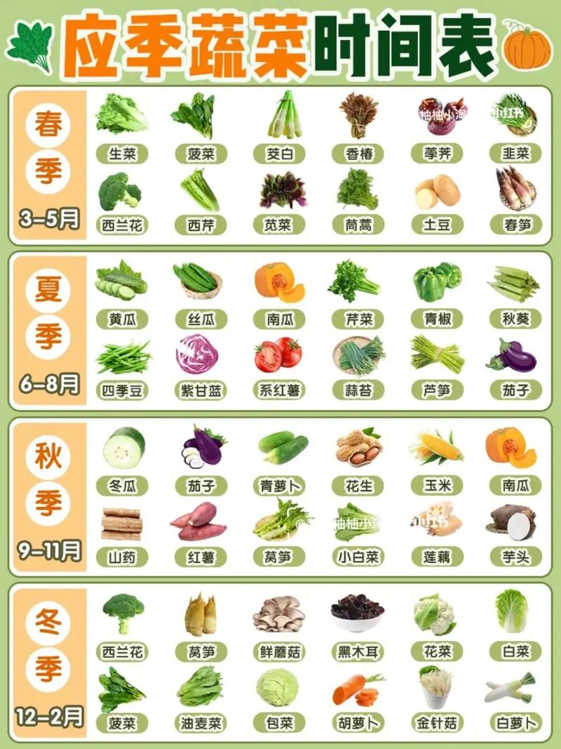 宝宝肠胃不好，什么蔬菜能吃？-图3