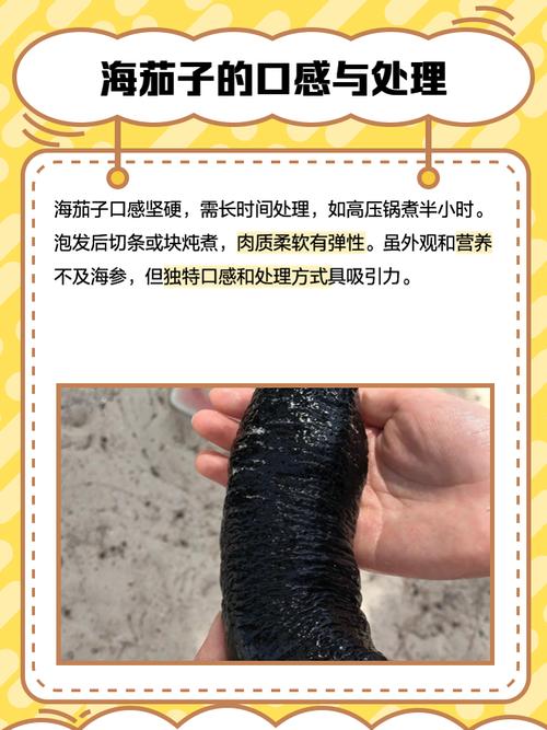 茄子不能和哪种海鲜同吃？-图2