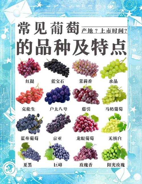 海鲜后吃葡萄,隔多久才安全?-图3 海鲜后吃葡萄,隔多久才安全?-图3