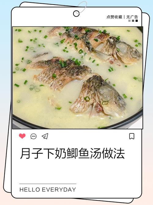 鲫鱼汤家常做法有哪些?-图1 鲫鱼汤家常做法有哪些?-图1