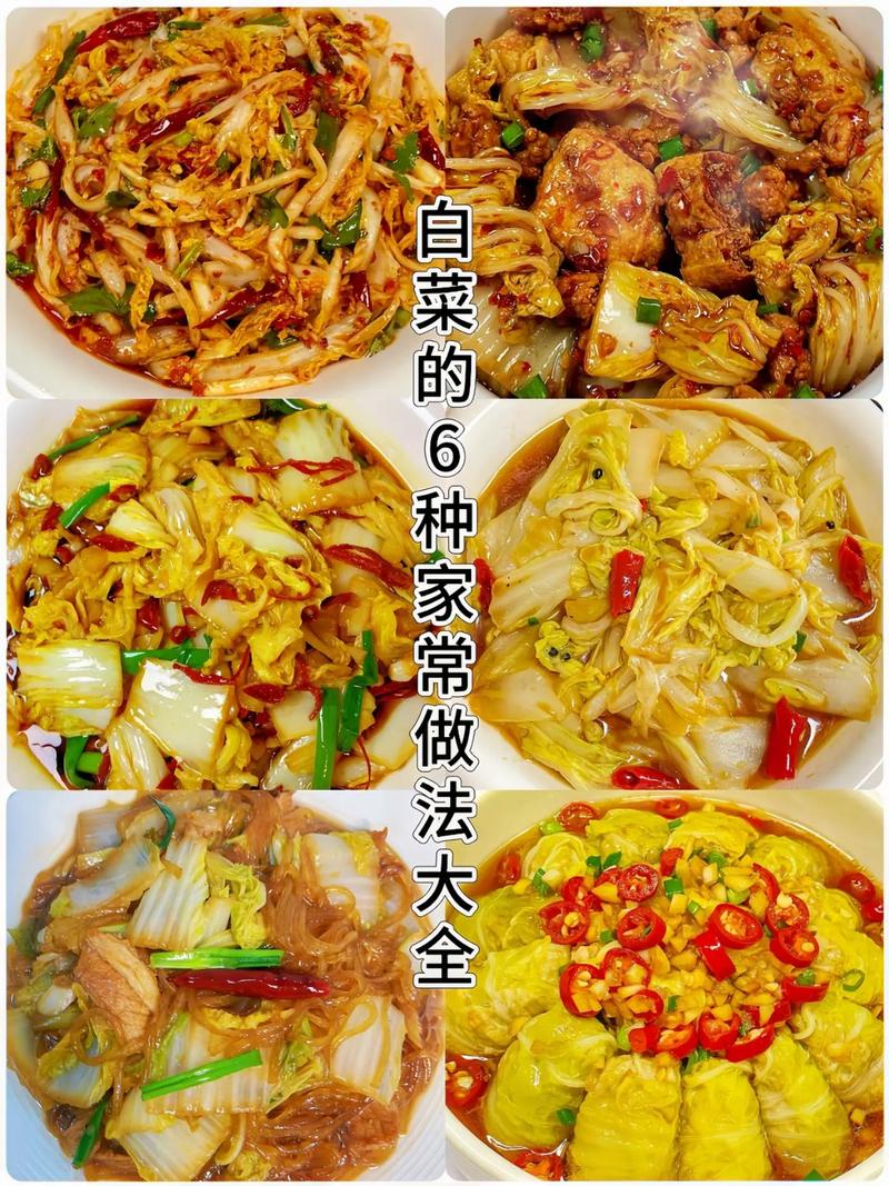 家常白菜做法大全，哪种做法最简单又美味？-图1