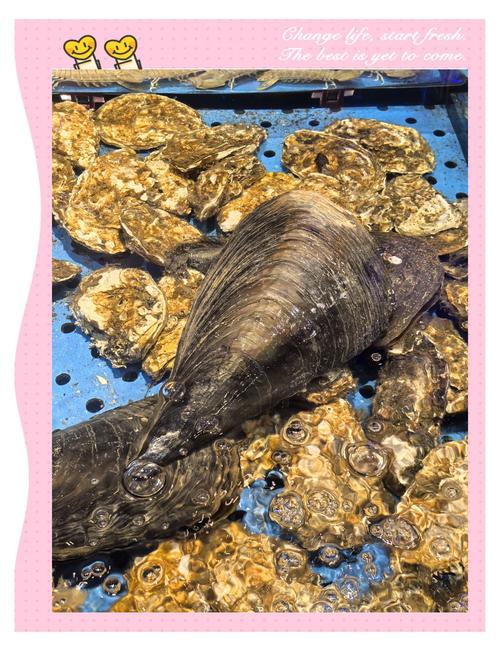 美式带子怎么做才地道?-图1 美式带子怎么做才地道?-图1