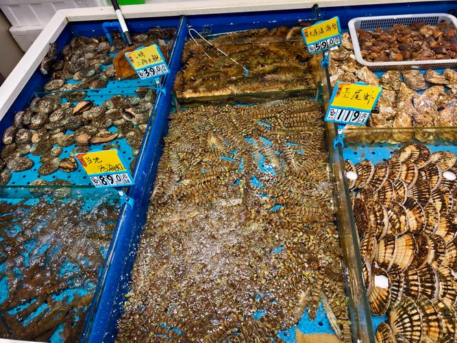 烧烤海鲜，烤箱烤炉哪个更优？-图2